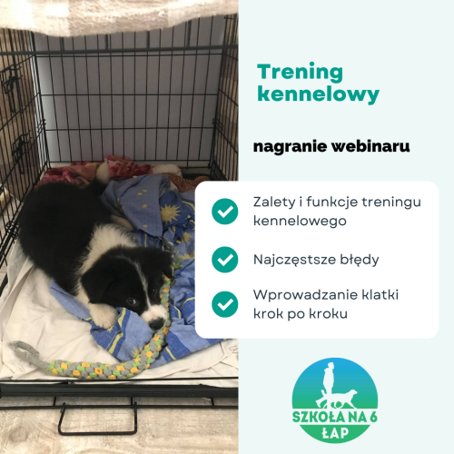 kennelowy_sklep.png