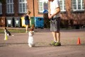 IMG_9855.jpg