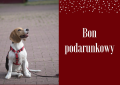 Bon podarunkowy.png