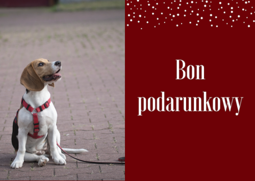 Bon podarunkowy.png