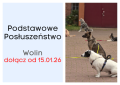 Podstawowe Posluszenstwo Wolin.png