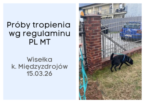 Proby tropienia.png