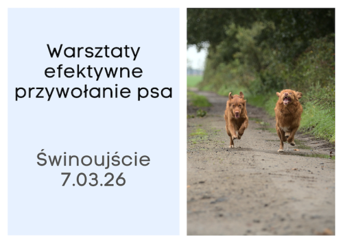 Warsztaty Przywolania Swinoujscie.png
