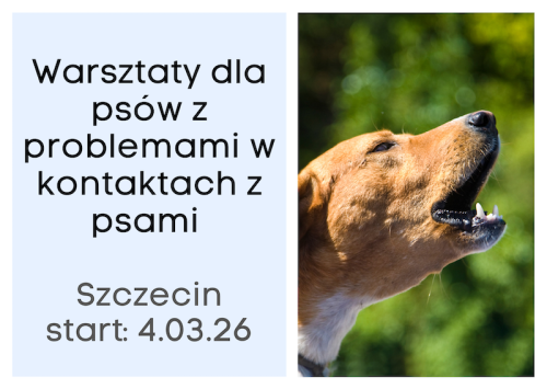 Warsztaty dla psow z problemami.png