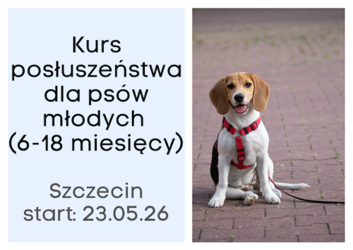 Psy mlode Szczecin.png