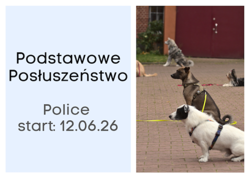 Podstawowe Posluszenstwo Police.png