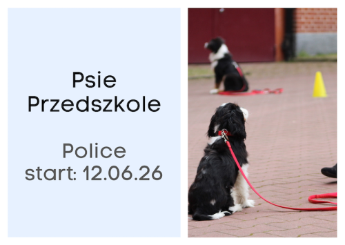 Psie Przedszkole Police.png