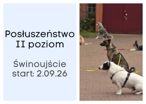 Posluszenstwo II poziom Swinoujscie.png