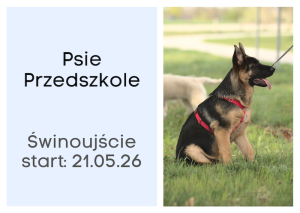 Kurs Psie Przedszkole ŚWINOUJŚCIE