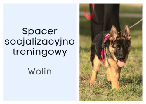 spacer socjalizacyjny Wolin.png
