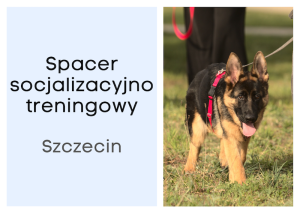 Spacer socjalizacyjno-szkoleniowy  z behawiorystą SZCZECIN - wybierz termin