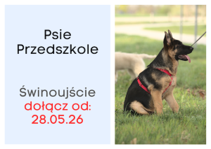Kurs Psie Przedszkole ŚWINOUJŚCIE