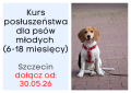 Posluszenstwo dla psow mlodych Szczecin.png