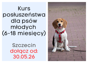 Kurs Posłuszeństwa dla psów młodych SZCZECIN