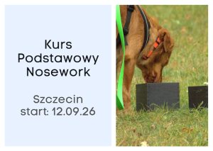 Kurs Podstawowy Nosework SZCZECIN 