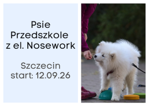Psie Przedszkole z el. Nosework SZCZECIN