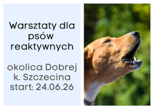 Warsztaty dla psów reaktywnych SZCZECIN