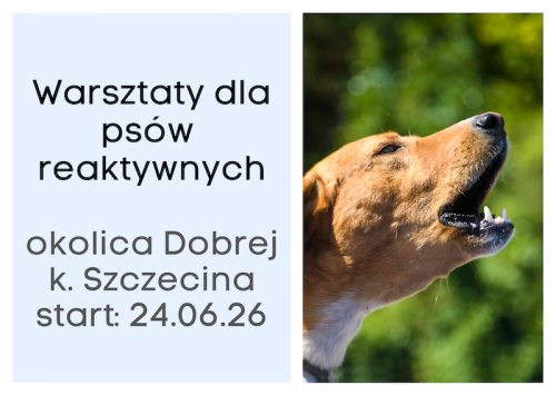 Warsztaty dla psow reaktywnych.png