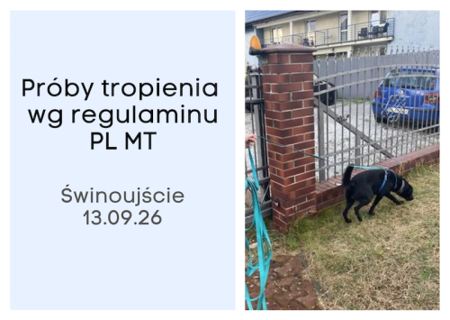 Proby tropienia.png