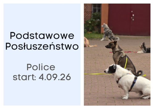 Podstawowe Posluszenstwo Police.png