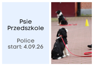 Kurs Psie Przedszkole POLICE